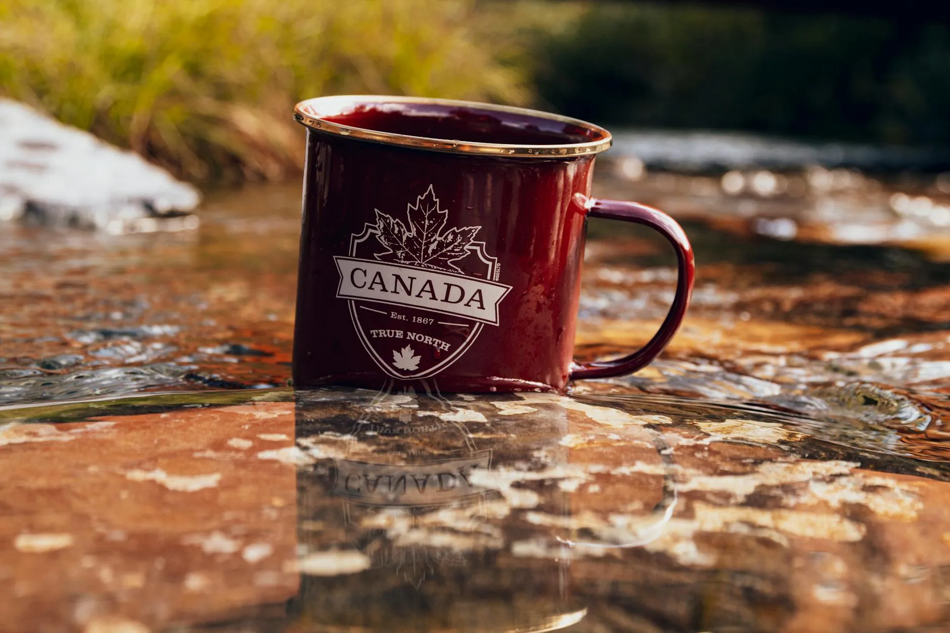 Canada’s Role in WordPress History